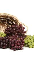 Grapes Fruits HD Theme Wallpapers Poster
