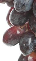 Grapes Fruits HD Theme Wallpapers 스크린샷 2