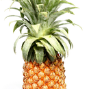 Pineapple HD Theme Wallpapers-APK