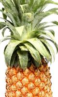 Pineapple HD Theme Wallpapers ภาพหน้าจอ 1