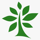 Olive Medical Practice icono