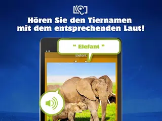 🐮 Tierstimmen & Bilder, Laute APK Herunterladen