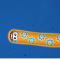 ”Guide Snake io worms zone