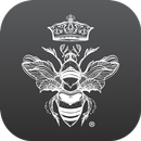 Agave & Rye APK