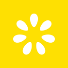 Lemonade icon