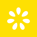 APK Lemonade Ordering