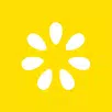 Lemonade Ordering APK