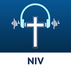 NIV - Audio Bible icône
