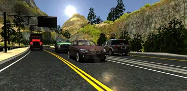 Manual Car Driving