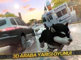 Yavru Köpek Koşma Ekran Görüntüsü 3