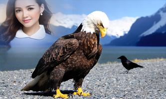 Eagles Photo Frame اسکرین شاٹ 3