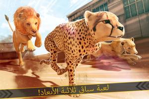 فهد ضد أسد عشيرة حيوان محاكاة الملصق