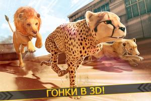 Леопард против Лев Клан - Дикий Саванна Гонки постер