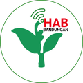 My HAB