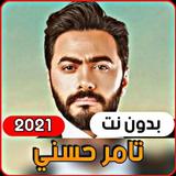 Tamer Hosni 2021 without inter icon