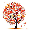 White background