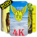 BVB 4K wallpapers 2021