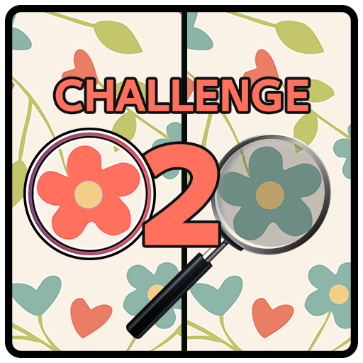 Spot 5 Differences Challenge 2 online