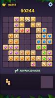 Block Puzzle poster