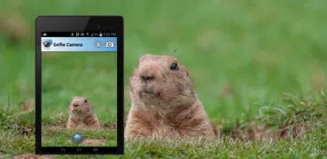 Selfie Camera - Whistle