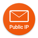 Check Public IP APK