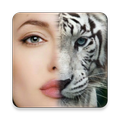 Face Morphing