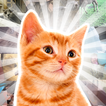 Video jigsaw puzzle