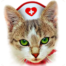 Cat therapy - jigsaw puzzles with cats purring APK