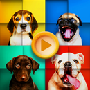 APK Cute Dogs Jigsaw Puzzles