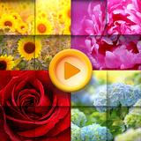 Beauty Flowers Jigsaw Puzzles icône