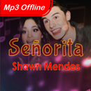 Señorita - Shawn Mendes ft. Camila Cbl Mp3 Offline APK