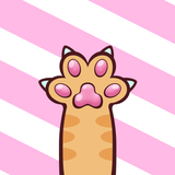 KittCat Story icon