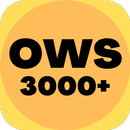 3000+ One Word Substitution APK