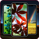 Wallpaper For OnePlus Nord N20 APK