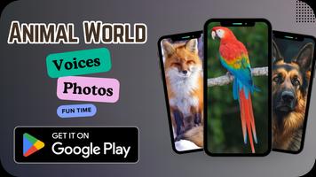 Animal World plakat