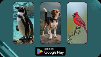 Animal World screenshot 1
