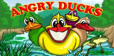 Angry Ducks