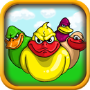 Angry Ducks aplikacja