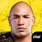 Brandon Vera's Break It Challenge (Official Game) ícone