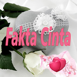 Fakta Cinta