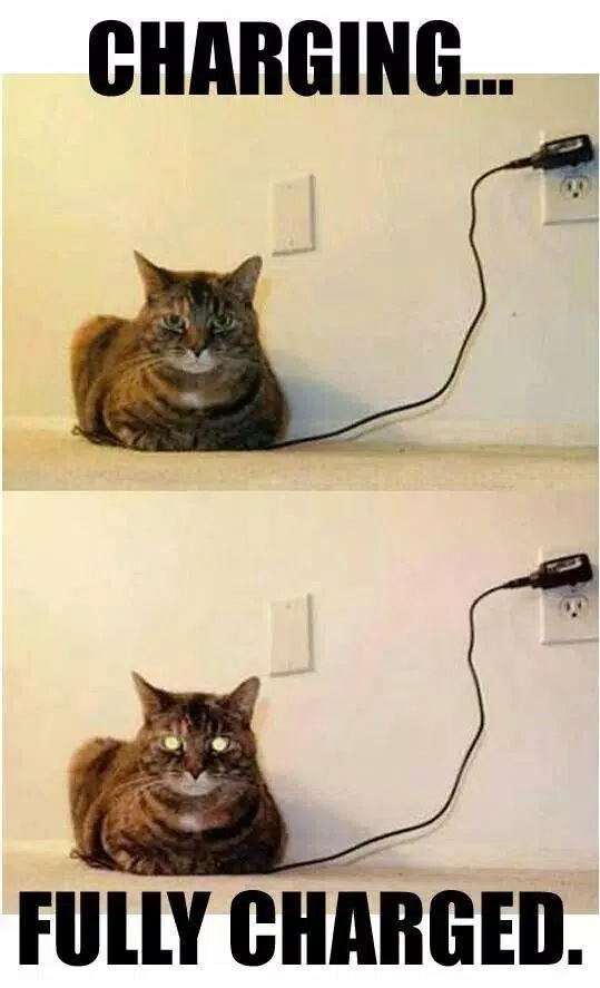 Super Duper Funny Quotes APK pour Android Télécharger Super Duper Funny Quotes APK pour Android Télécharger