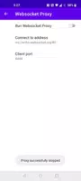 WebSocket Proxy Screenshot 3