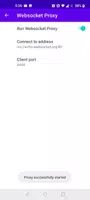 WebSocket Proxy Screenshot 4