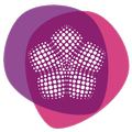 Floración Cieza