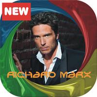 The Best Of Richard Marx poster