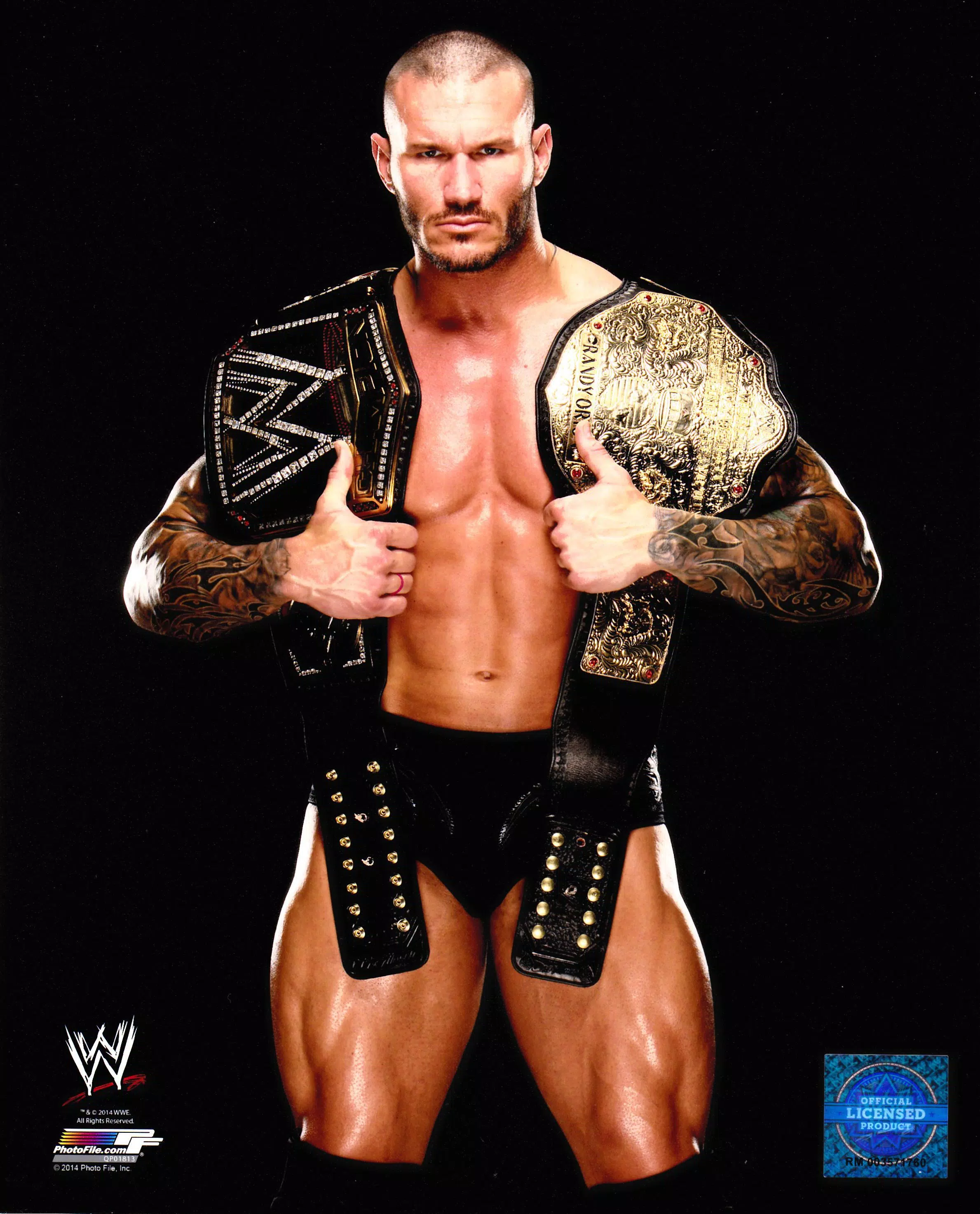 Tải xuống APK Randy Orton Wallpaper HD cho Android Tải xuống APK Randy Orton Wallpaper HD cho Android