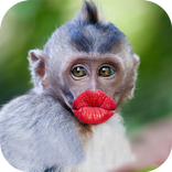 ”Best funny videos 2019