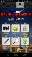 David Gallagher Bail Bonds Affiche