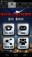 David Gallagher Bail Bonds اسکرین شاٹ 1
