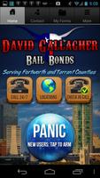David Gallagher Bail Bonds اسکرین شاٹ 2